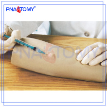 Modèle d&#39;injection intradermique de bras PNT-TA013